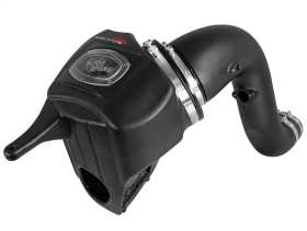 Momentum HD Pro DRY S Air Intake System 51-72005